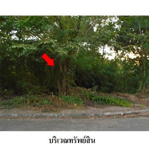 รูป Z8Z3195 ขายที่ดิน เลควูด คันทรีคลับ ตำบล บางโฉลง อำเภอ บางพลี จังหวัด สมุทรปราการ - รูปที่ 7/8