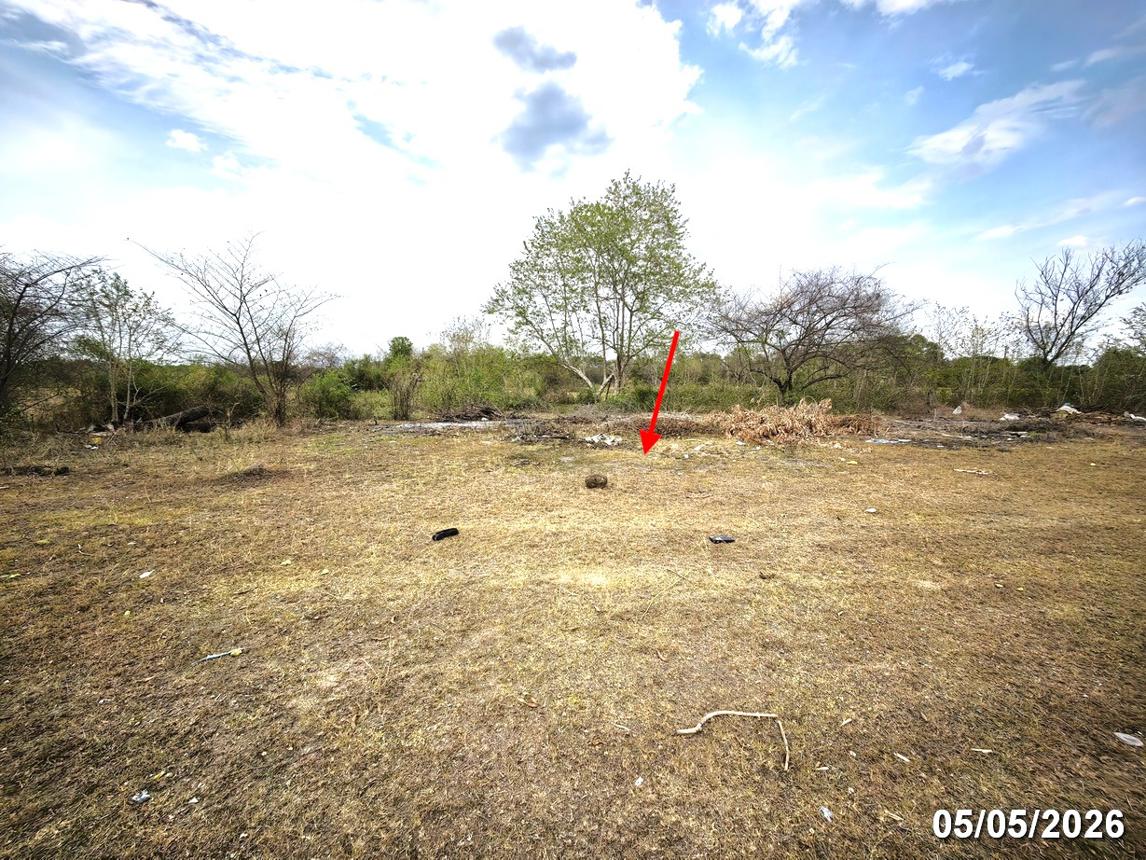 picture LAND 1299 Sq.w. San Pa Tong Chiang Mai for 1.5M - 12/16