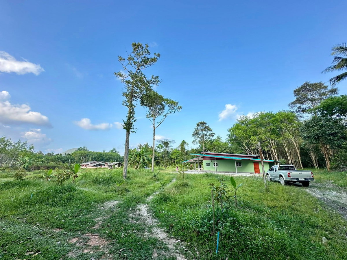 รูป ขายบ้านสวนและที่ดิน เนื้อที่ 1 ไร่ 3 งาน ใกล้วัดเจดีย์ไอไข่ อ.สิชล จ.นครศรีธรรมราช - รูปที่ 2/10