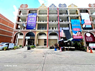 อาคารพาณิชย์ ถนนพุทธมณฑล สาย 4 : อาคารพาณิชย์ 17 ตร.วา ทิวลิป สแควร์ กระทุ่มแบน สมุทรสาคร 4.3M