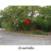 listing thumbnail image 5