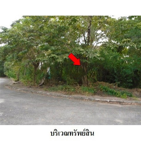 รูป Z8Z3195 ขายที่ดิน เลควูด คันทรีคลับ ตำบล บางโฉลง อำเภอ บางพลี จังหวัด สมุทรปราการ - รูปที่ 6/8