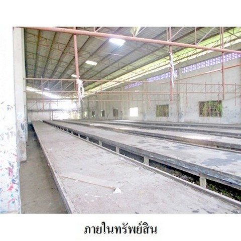รูป Z2T0491 ขายโกดัง / โรงงาน แขวง หนองแขม เขต หนองแขม จังหวัด กรุงเทพมหานคร - รูปที่ 5/8