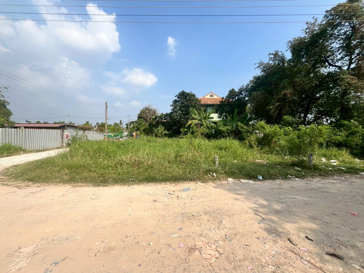 picture ⭐✨LA-001 Land for Sale – 50 sq.wah (Suan Phak 32)✨⭐ - 4/5