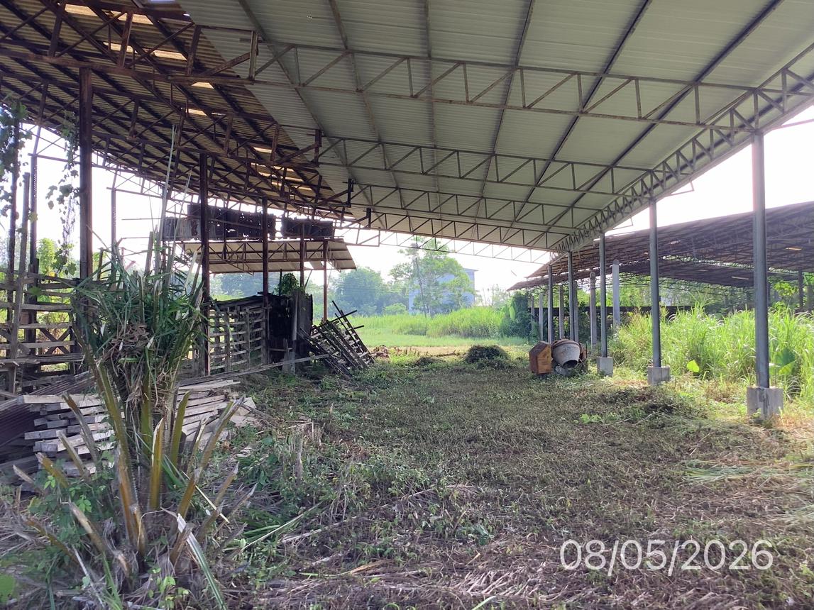 รูป อาคารโรงงาน 1484.7 ตร.วา ฉวาง นครศรีธรรมราช 7.7M - รูปที่ 17/24