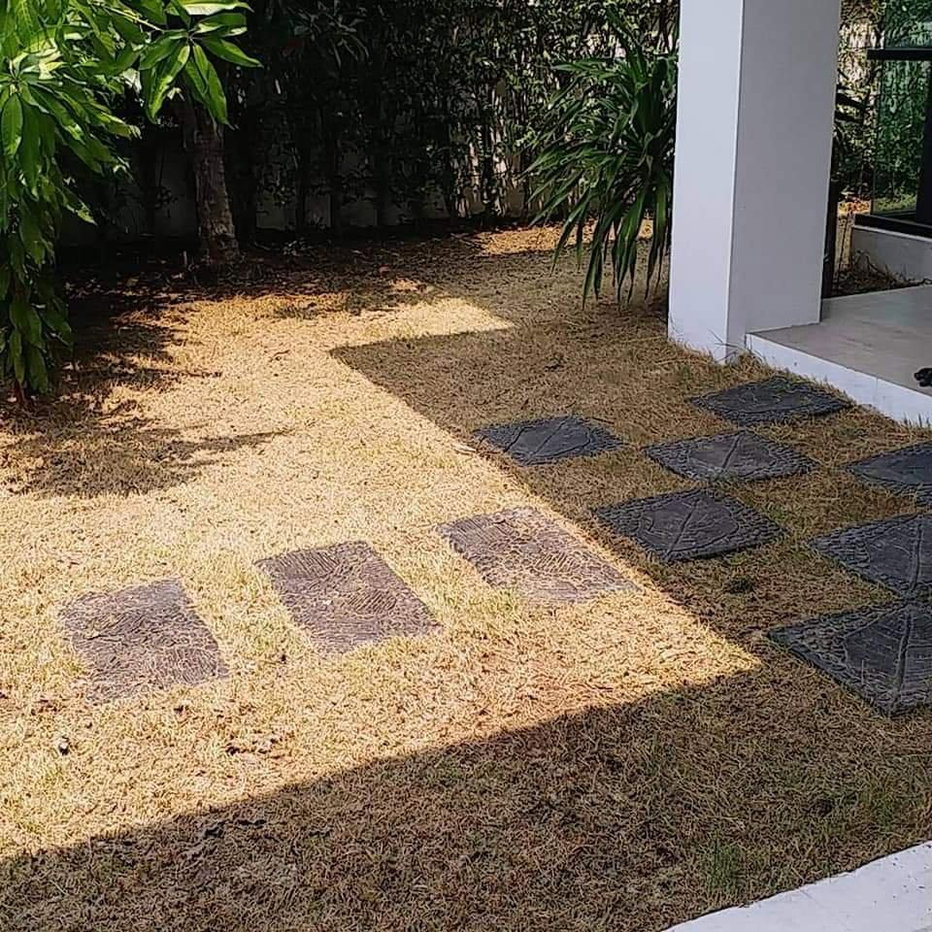 รูป ให้เช่าบ้านเดี่ยว 2 ชั้น บ้านฟ้ากรีนเนอรี่ ปิ่นเกล้าสาย 5 3 ห้องนอน 3 ห้องน้ำ ติดโลตัสศาลายา ริมถนนบรมราชชนนี - รูปที่ 12/19