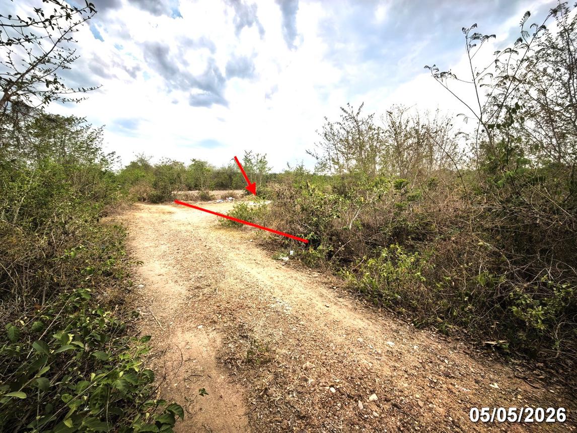 picture LAND 1299 Sq.w. San Pa Tong Chiang Mai for 1.5M - 9/16