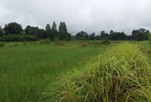 รูป ที่ดินว่างเปล่า 1551.3 ตร.วา โครงการ บ้านผักบุ้ง อุดรธานี บ้านผือ อุดรธานี 5.1M - รูปที่ 6/6