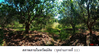 listing thumbnail image 10