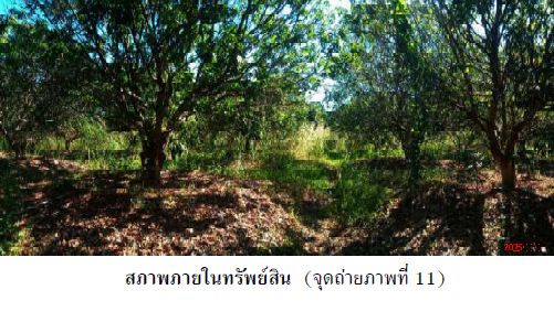 รูป บ้านเดี่ยว 17326 ตร.วา เมืองนครพนม นครพนม เมืองนครพนม นครพนม 28.2M - รูปที่ 11/16