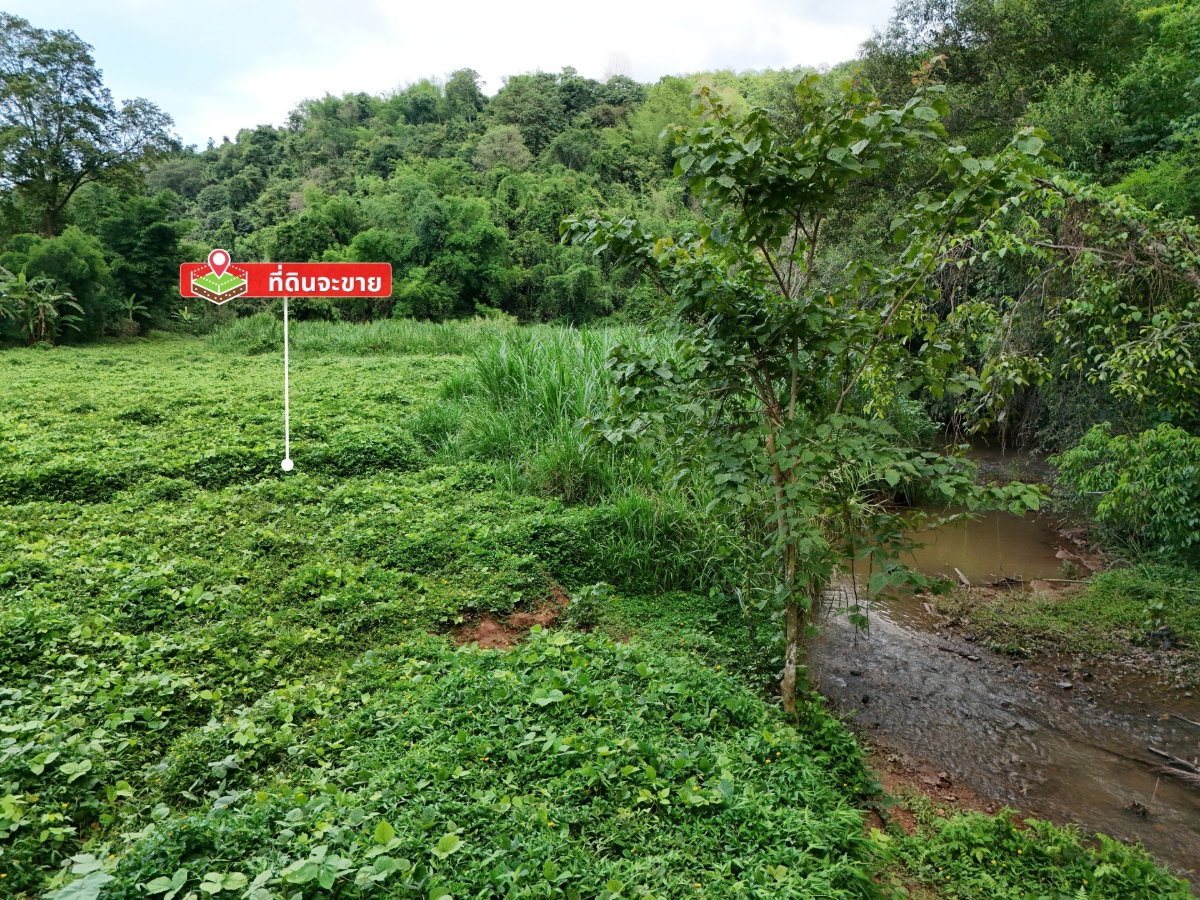รูป ขายที่ดิน 8ไร่ วิวภูเขา ห่างตัวเมือง 10 นาที พร้อมลำธารมีน้ำตลอดปี ติดถนนสายเลย–ภูเรือ | จังหวัดเลย - รูปที่ 7/12