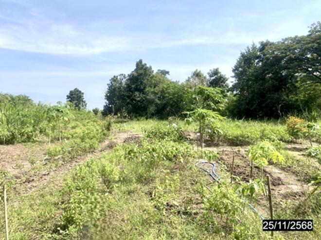 picture LAND 2394 Sq.w. Chum Phae Khon Kaen for 958,000 - 4/14