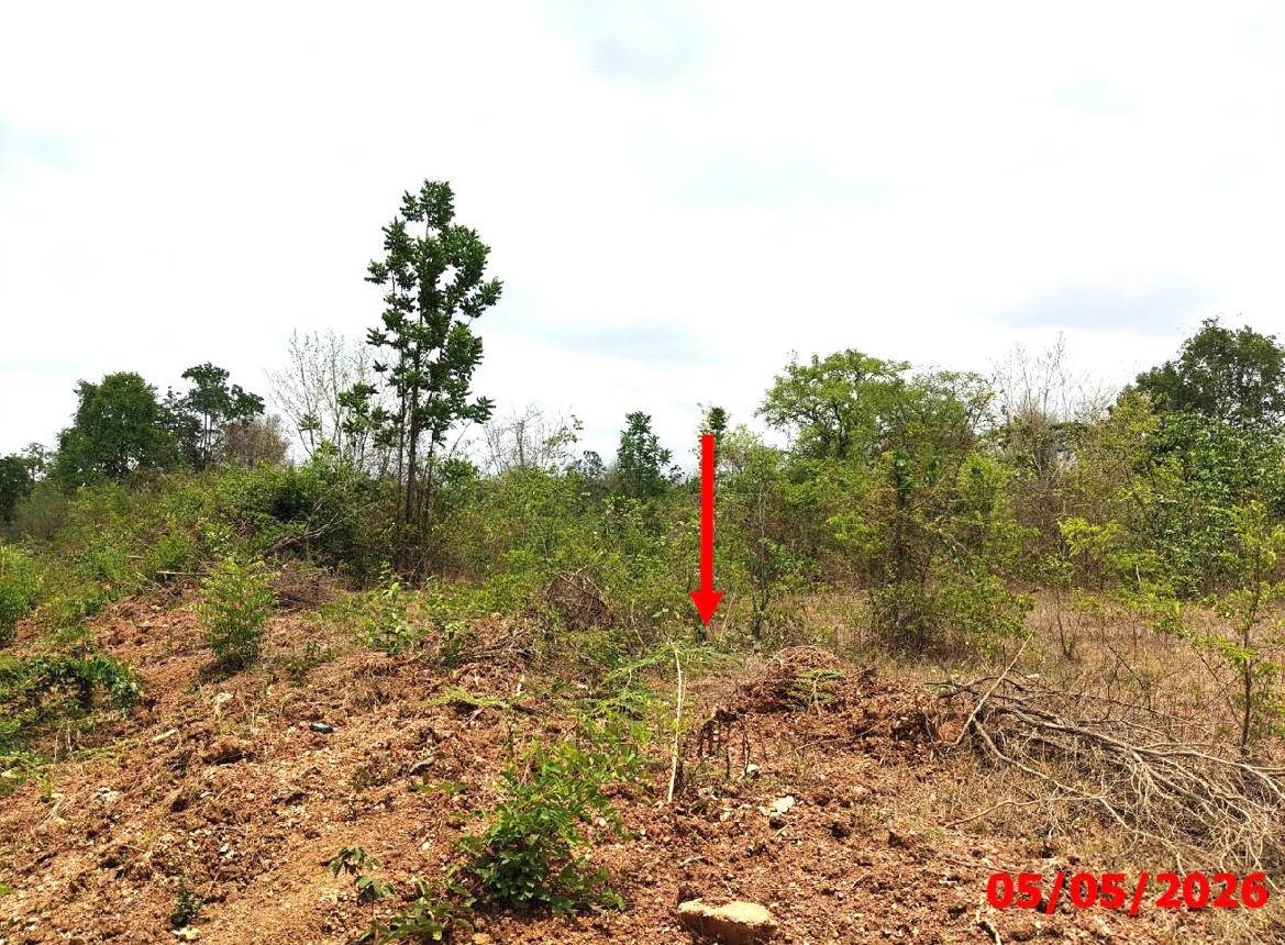 รูป ที่ดินว่างเปล่า 920 ตร.วา บ้านสวนอรุณรุ่ง เมืองลำปาง ลำปาง 1.3M - รูปที่ 11/20