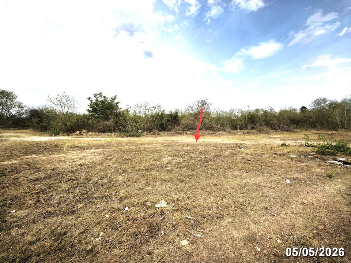 picture LAND 1299 Sq.w. San Pa Tong Chiang Mai for 1.5M - 11/16