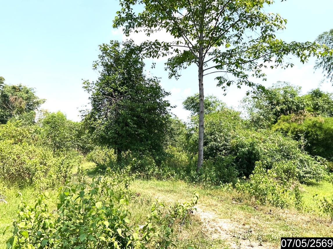 รูป ที่ดินว่างเปล่า 2302 ตร.วา ศรีวิไล บึงกาฬ 5.8M - รูปที่ 16/24