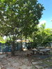listing thumbnail image 31