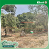 listing thumbnail image 11