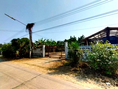 Land for sale Phichit : Call : 080-154-2361 Land For Sale