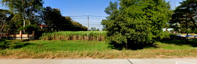 Land for sale Aura Farm : sell big plot land 29 rai  on Mittrapap rd,  Khonkaen km 40, outbound to Udonthani