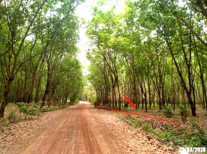 picture LAND 7306 Sq.w. Ban Dung Udon Thani for 2.2M - 7/18