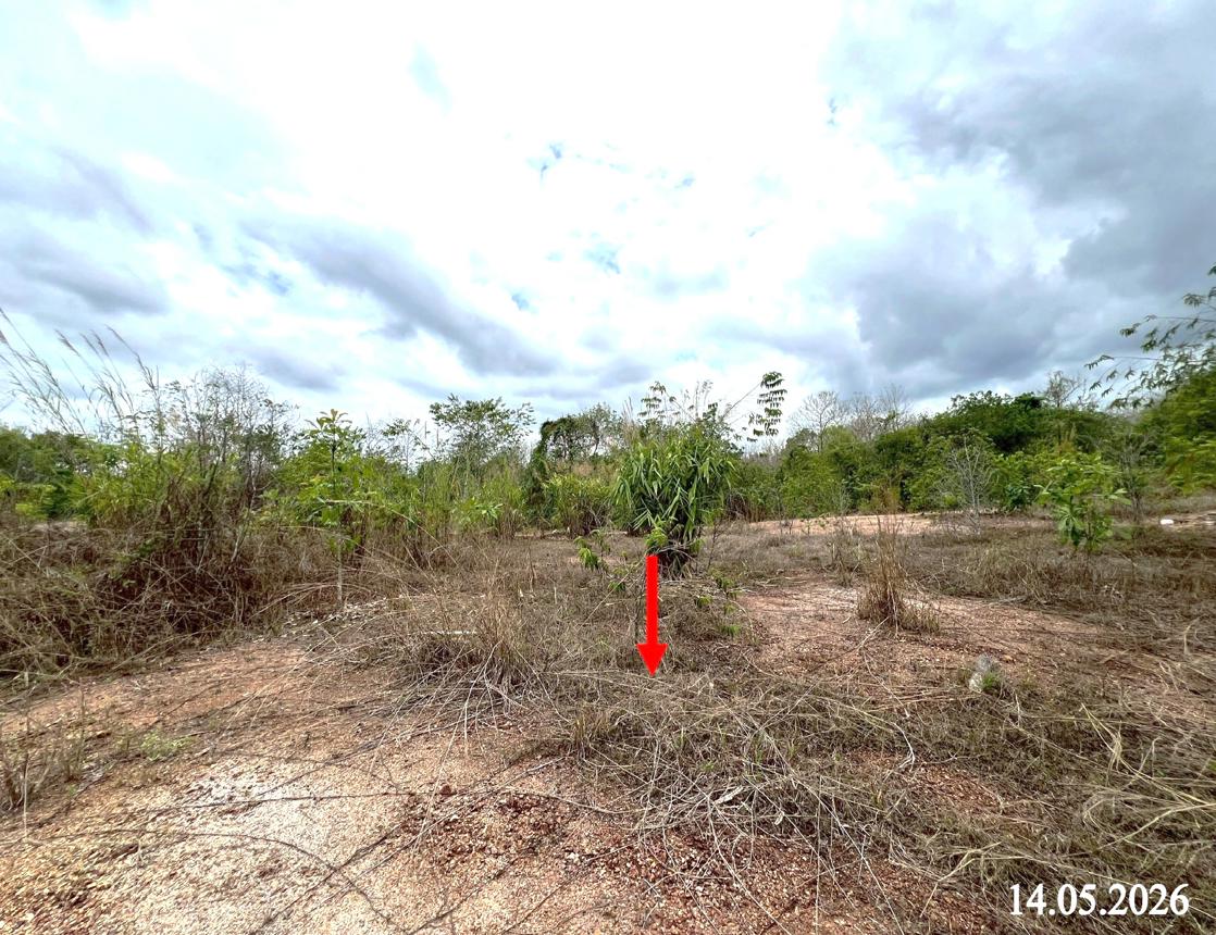 รูป ที่ดินว่างเปล่า 6813 ตร.วา ลอง แพร่ 3.7M - รูปที่ 16/26
