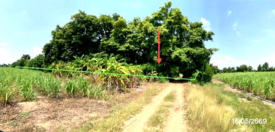 Land for sale Suphanburi : LAND 12989 Sq.w. Nong Ya Sai Suphanburi for 4M