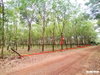 listing thumbnail image 14