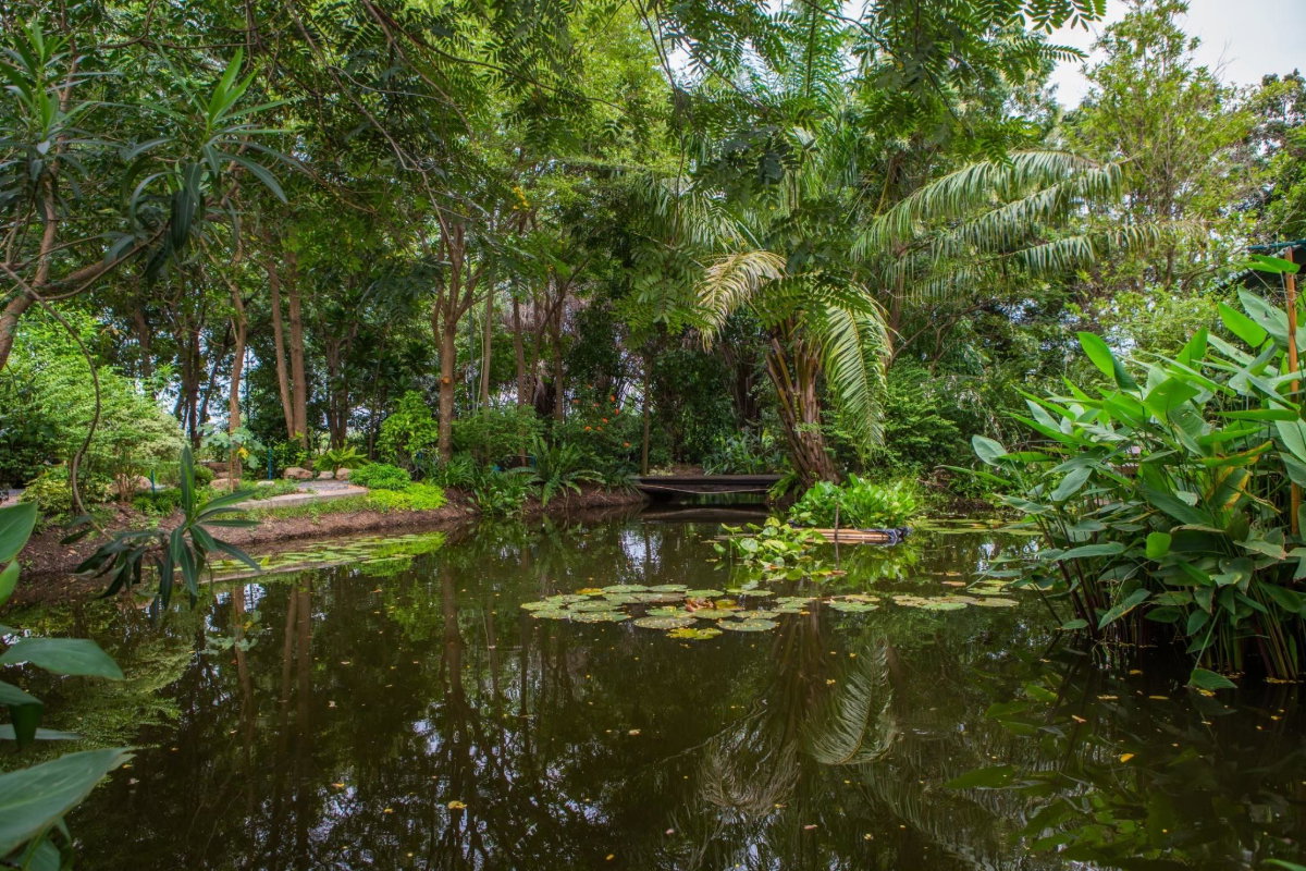 รูป ขายบ้านสวนริมสระบัว พร้อมที่ดิน 2ไร่กว่า เฟอร์ครบพร้อมเข้าอยู่ อากาศดี ร่มรื่น โซนไทรน้อย นนทบุรี - รูปที่ 20/20