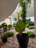 listing thumbnail image 44