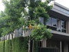 listing thumbnail image 24