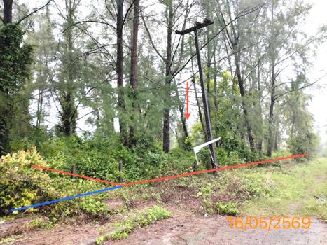 รูป ที่ดินว่างเปล่า 10953.7 ตร.วา ตะกั่วป่า พังงา 76.7M - รูปที่ 11/14