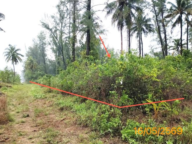 รูป ที่ดินว่างเปล่า 10953.7 ตร.วา ตะกั่วป่า พังงา 76.7M - รูปที่ 2/14