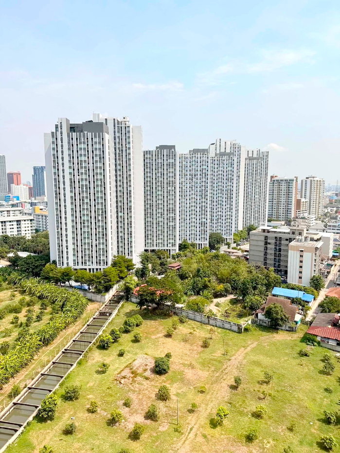 picture 9812, 1 Br. condo for rent at COBE Ratchada-Rama 9. - 9/12
