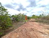 listing thumbnail image 17