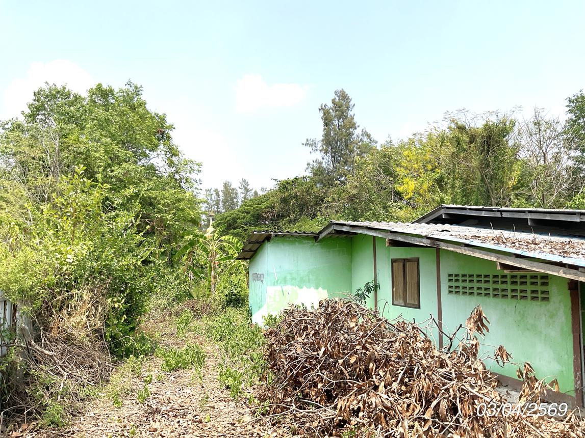 รูป บ้านเดี่ยว 432 ตร.วา พนมสารคาม ฉะเชิงเทรา 1.5M - รูปที่ 12/24