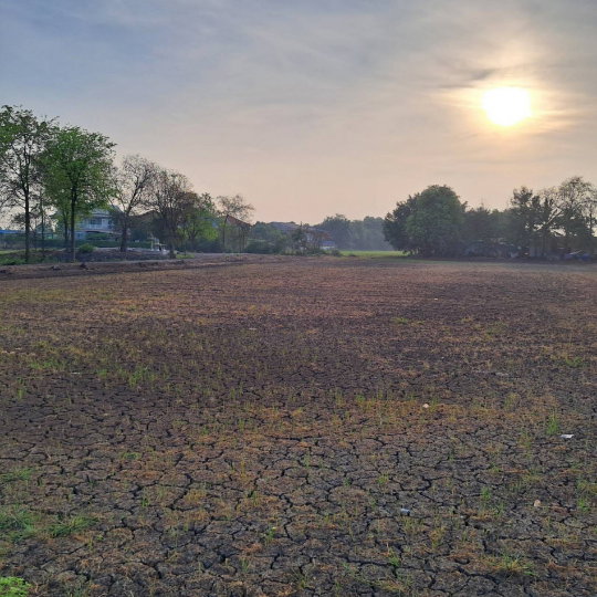 รูป ขาย ที่ดิน แปลงสวย 2-2-8 ไร่ บางเลน, นครปฐม เดินทางสะดวก ใกล้กรุงเทพ - รูปที่ 3/5