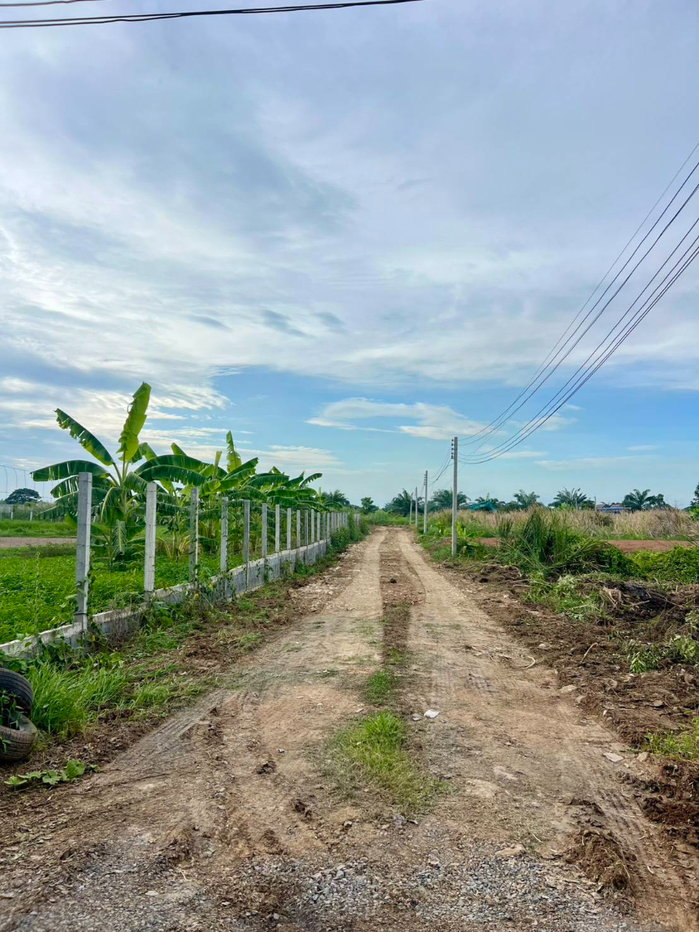 รูป 📢 ขายที่ดินแปลงเล็ก เหมาะทำบ้านพัก ซ.พนารัตน์คลอง 9 อ.หนองเสือ จ.ปทุมธานี - รูปที่ 7/8