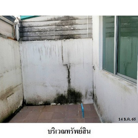 รูป Z3A1659 ขายทาวน์เฮ้าส์ พฤกษา ตำบล แพรกษา อำเภอ เมืองสมุทรปราการ จังหวัด สมุทรปราการ - รูปที่ 6/8