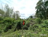 listing thumbnail image 20