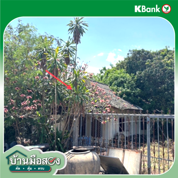 รูป บ้านเดี่ยว 101 ตร.วา อัมพวา สมุทรสงคราม 1.7M - รูปที่ 8/10
