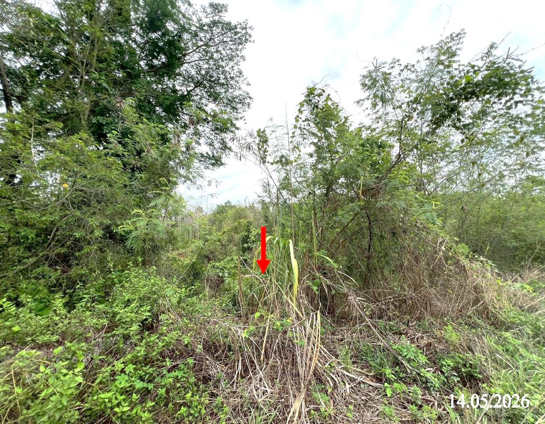 รูป ที่ดินว่างเปล่า 6813 ตร.วา ลอง แพร่ 3.7M - รูปที่ 22/26
