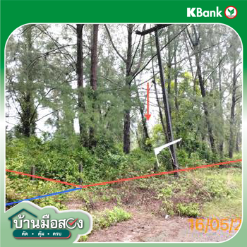 รูป ที่ดินว่างเปล่า 10953.7 ตร.วา ตะกั่วป่า พังงา 76.7M - รูปที่ 12/14