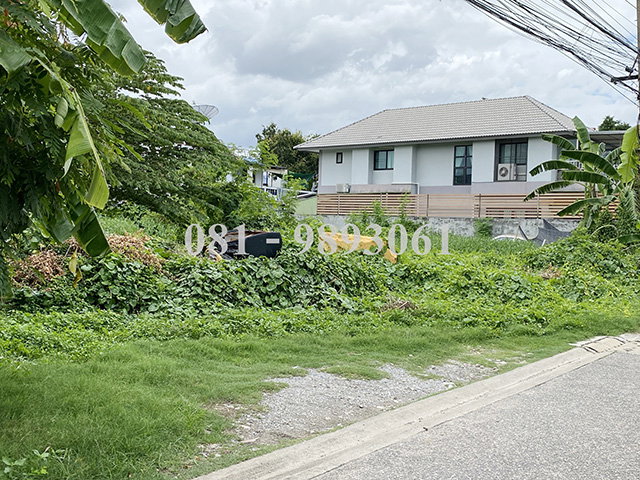 picture Land for Sale: Lat Phrao 41 (Soi Phawana), Yaek 12 - 5/6