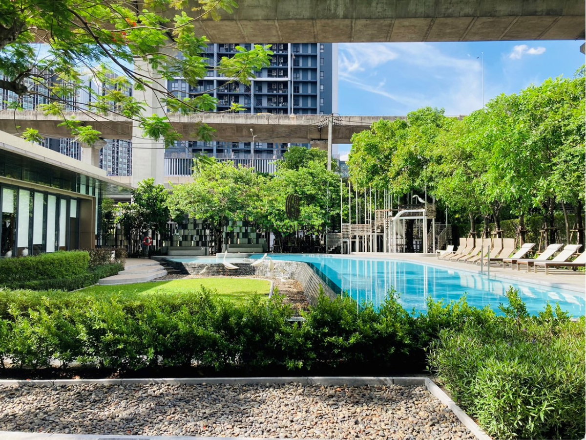 picture The Base Garden Rama 9 🌟PN-00005185🌟 - 14/15