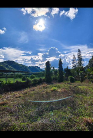 picture 🏞️ Mountain View Land for Sale in Ban Rai, Uthai Thani - 4/9