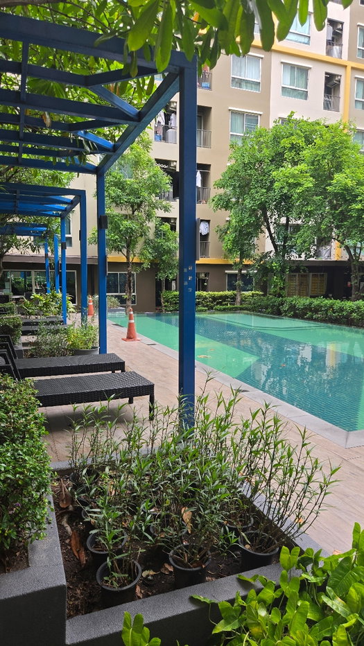 รูป ขายคอนโด Plum Condo แหลมฉบัง ห้องสตูดิโอ ขนาด 22.7 ตร.ม.ตึก B ชั้น 4 - รูปที่ 9/12