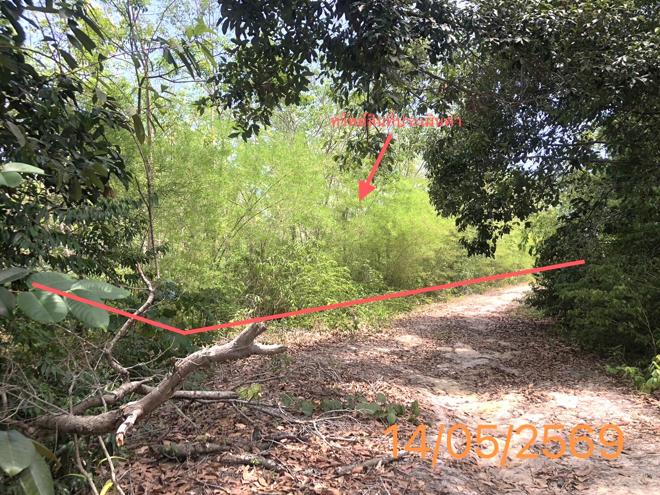 picture LAND 4370 Sq.w. Khlong Thom Krabi for 34.7M - 1/20