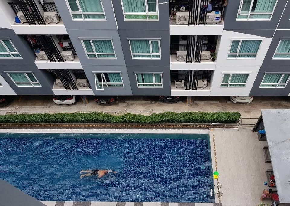 รูป For rent : Regent Home Sukhumvit 81 /Line : blueprint96/Please Contact us - รูปที่ 8/16