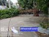 listing thumbnail image 64