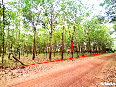 LAND 7306 Sq.w. Ban Dung Udon Thani for 2.2M